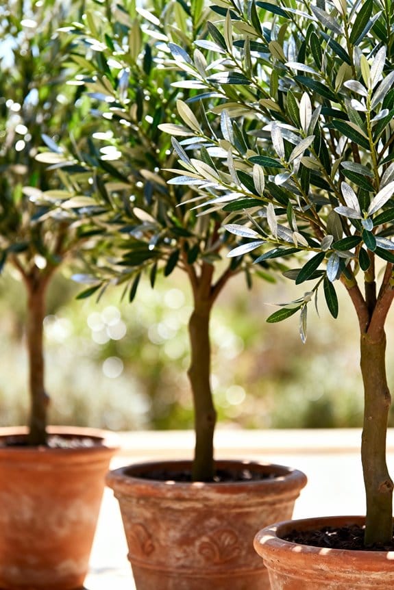 elegant low maintenance olive decor