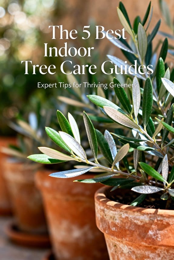 indoor tree care tips